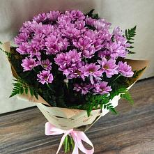 Букет цветов из:  Хризантемы #REPLACE_PRED# Веселом