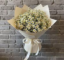 Букет цветов из:  Ромашки #REPLACE_PRED# Веселом