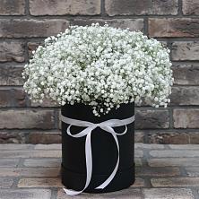 Цветочная композиция из Гипсофила в шляпной коробке в Веселом
