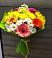 Букет цветов из: Герберы и Хризантемы в Веселом