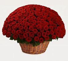 Премиум букет из: Розы #REPLACE_PRED# Веселом